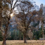 El-Capitan-Meadows-Lens-Flare