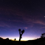 Joshua-Tree-Dusk