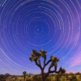 Joshua-Tree-Startrail