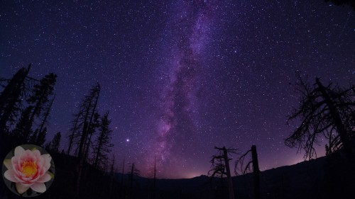 Milky-Way-Three-Fingered-Jack.jpg