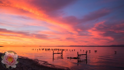 Salton-Sea-Sunrise-Bed.jpg